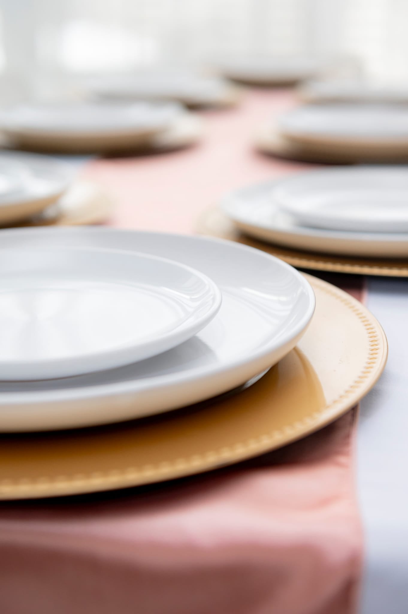 Event plates set of 12 stacked on a decorated banquet table