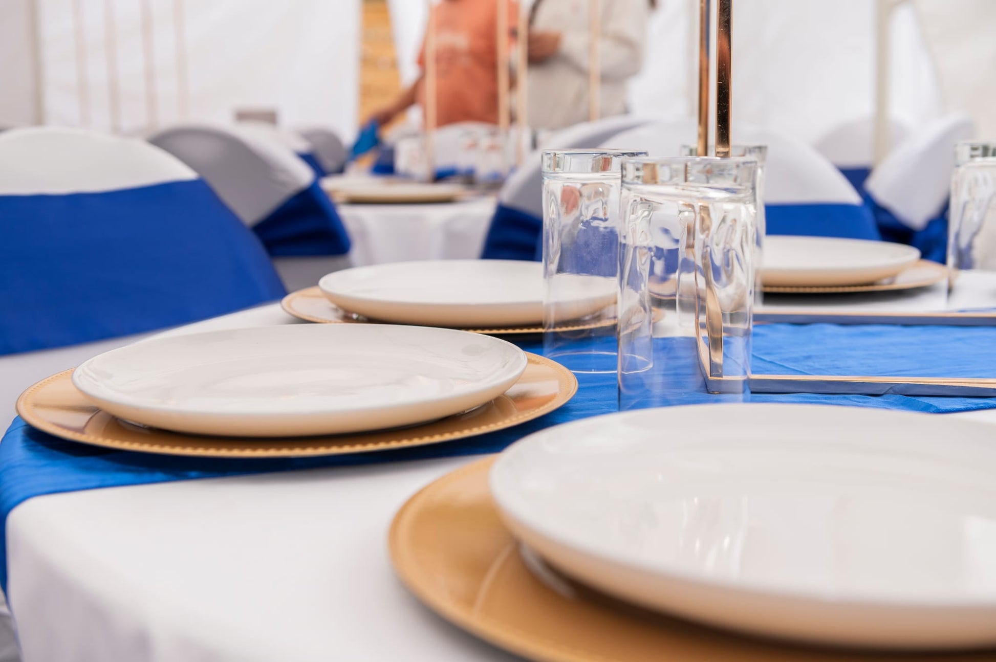 Event plates set of 12 stacked on a decorated banquet table