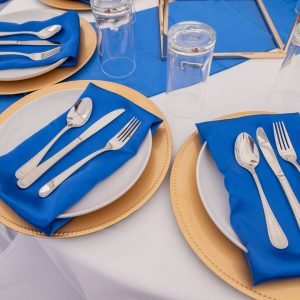 Decorative Event Napkins – Cloth Napkins in Assorted Colors for Table Settings